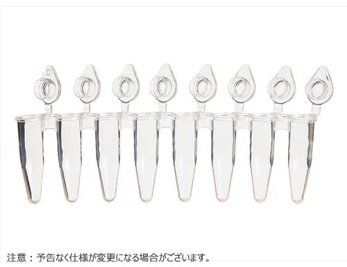 8連PCRチューブ 0.2uL 個別キャップ付 フラットキャップ