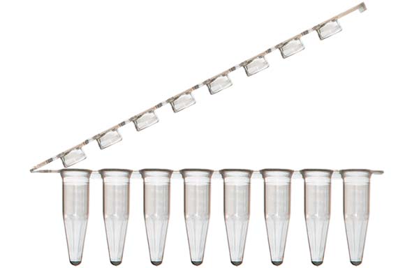 8連PCRチューブ & 8連チューブキャップ フラットタイプ ヒンジ付 アソート