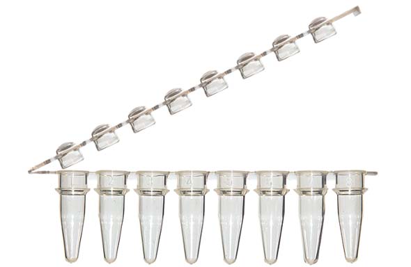 8連PCRチューブ & 8連チューブキャップ ドームタイプ ヒンジ付 クリア