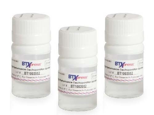 BTXpressバッファー 2mL