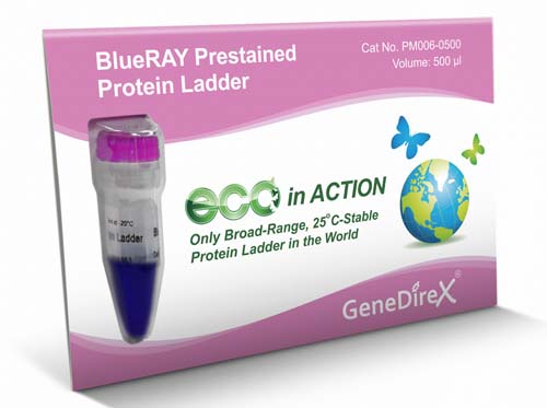 BlueRAY Prestained Protein Ladder