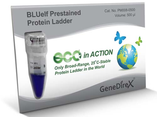 BLUelf Prestained Protein Ladder