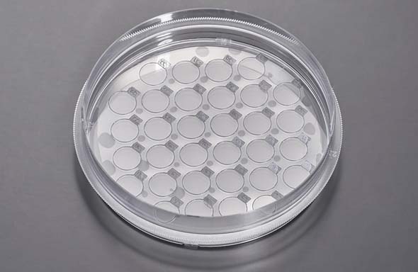 CellSLIPカバースリップ 60mmディッシュ スリップ径10mm