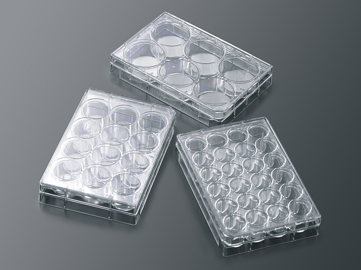 CellSCAFLD 3D細胞培養スキャフォールド 12ウェルプレート 接着細胞用