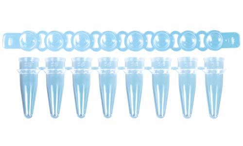 PCR 8連チューブ&8連ドームキャップ 0.2ml ナチュラル