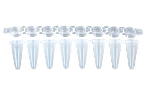 リアルタイムPCR 8連チューブ&8連フラットキャップ 0.1ml ナチュラル