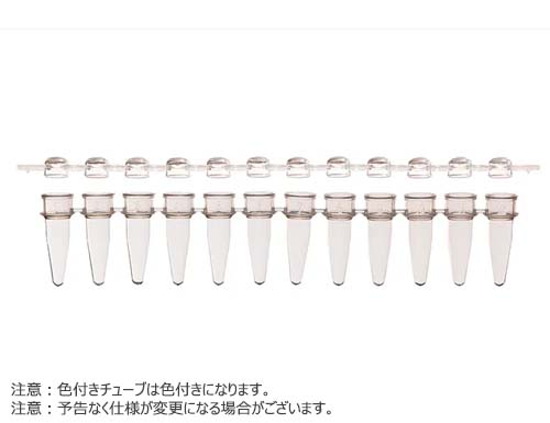 【OUTLET】12連PCRチューブ & 12連チューブキャップ ドームタイプ セット クリア