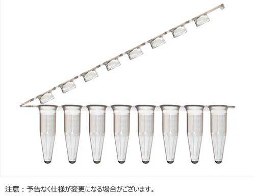 【OUTLET】8連PCRチューブ & 8連チューブキャップ フラットタイプ ヒンジ付 クリア