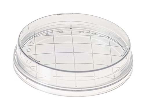 PETRI DISH CONTACT PLATE, CONVEX BOTTOM