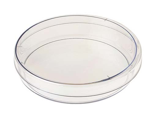 PETRI DISH 100X20MM EXTRA LOOSE LID