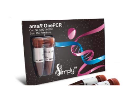 amaR OnePCR Superミックス 250rxns