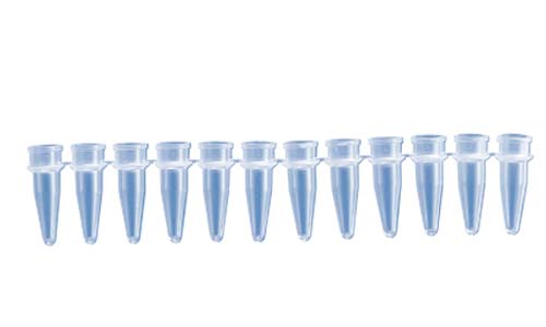 BM - PCR 12連チューブ 0.2ml ナチュラル: PCRチューブ＆PCRプレート - BIO