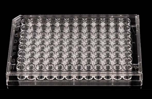 96 Well Cell Culture Plate, Flat, TC, Sterile