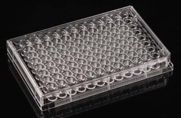96 Well Cell Culture Plate, V-bottom, TC, Sterile