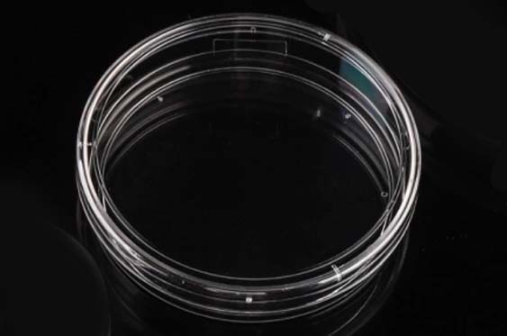 BM - 100 mm Cell Culture Dish, TC, Sterile: ティッシュカルチャー - BIO