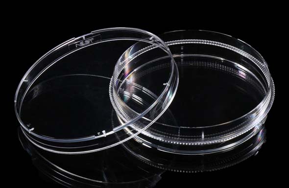 100 mm Cell Culture Dish, with Gripping Ring, TC, Sterile