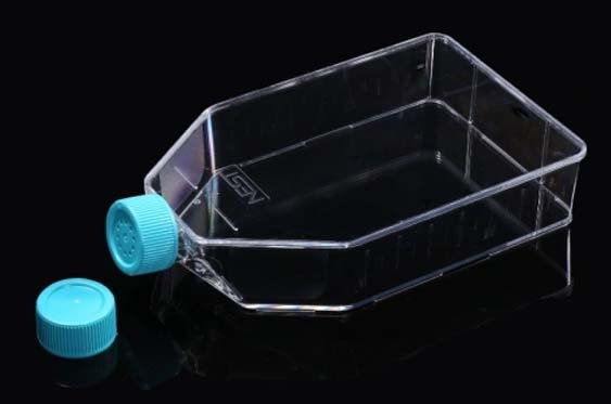 75cm2 Cell Culture Flask, Plug Seal Cap, TC, Sterile