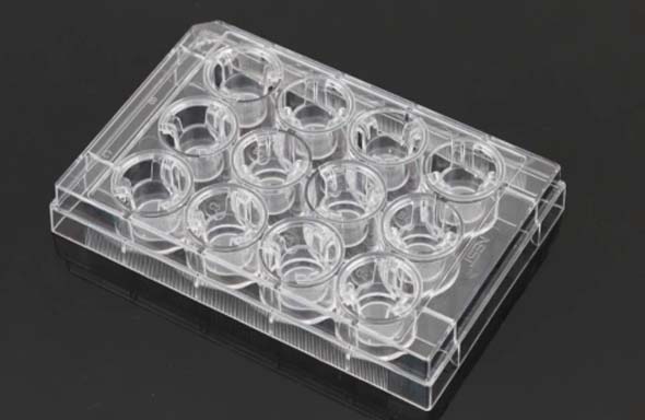 12 Cell Culture Inserts+12 Well Plate, 8 μm, PET Memberane, Non-Treated, Sterile, 12/pk, 120/cs