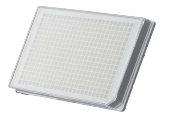 384 Well Cell Culture Plate, White, Flat bottom, TC, Sterile
