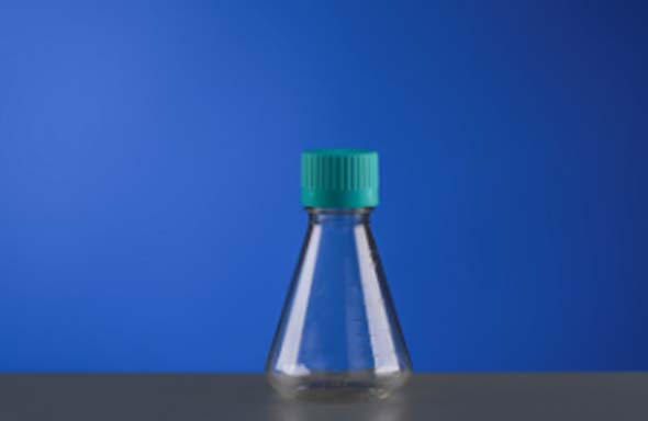 三角フラスコ 250ml　平底　PC プラグシールキャップ　個装滅菌