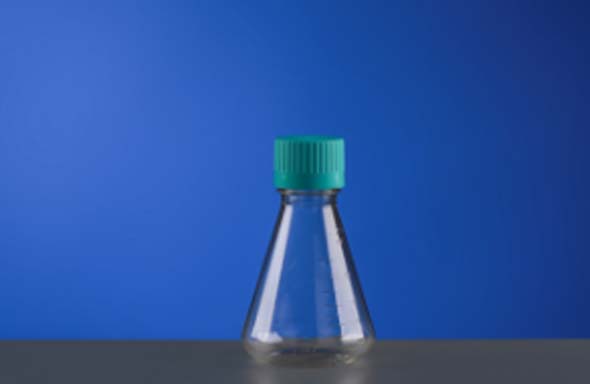 250mL Erlenmeyer Flask, Vent Cap, PC Bottle, HDPE Cap, Sterile, 1/pk, 12/cs