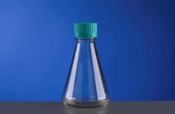 500 mL Erlenmeyer Flask, Vent Cap, PC Bottle, HDPE Cap, Sterile, 1/pk, 12/cs