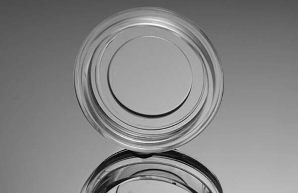 細胞培養ディッシュ　20mm　ガラスボトム　接着細胞用　滅菌