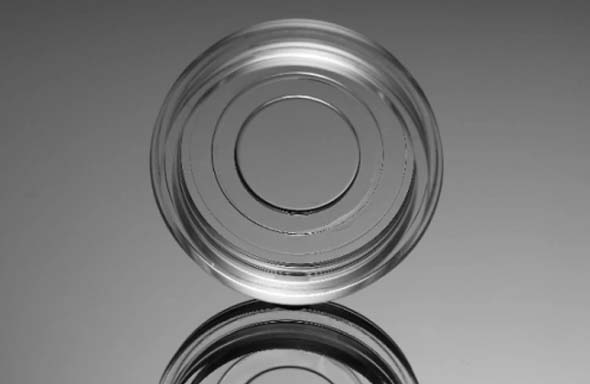 細胞培養ディッシュ　15mm　ガラスボトム　接着細胞用　滅菌