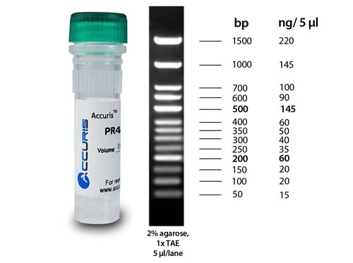 Accuris SmartCheck(TM) 50bp DNAラダー