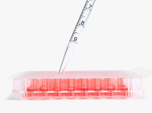 SureSeal qPCR, Roll for Automation, Non-Sterile, 79mm x 65 meters