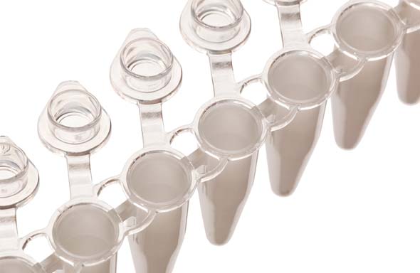 8連PCRチューブ　0.2uL　個別キャップ付　フラットキャップ