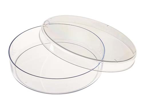 PETRI DISH 100X20MM EXTRA LOOSE LID