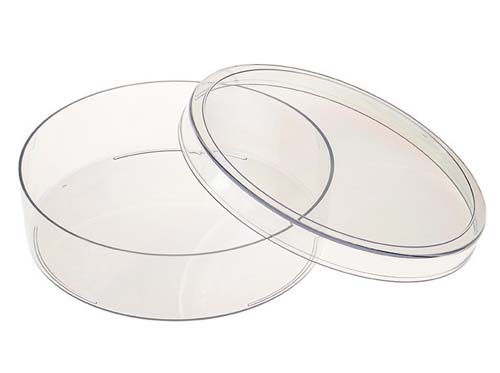 PETRI DISH 100X25MM, WITH STACKING RING