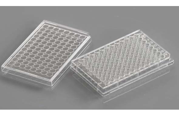 96 Well Cell Culture Plate, U-bottom, Non-Treated, Sterile