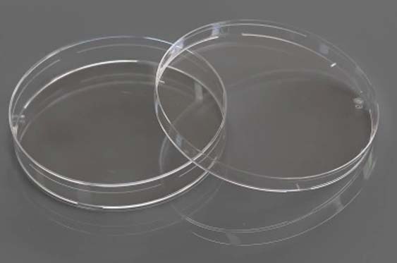 35 mm Cell Culture Dish, TC, Sterile