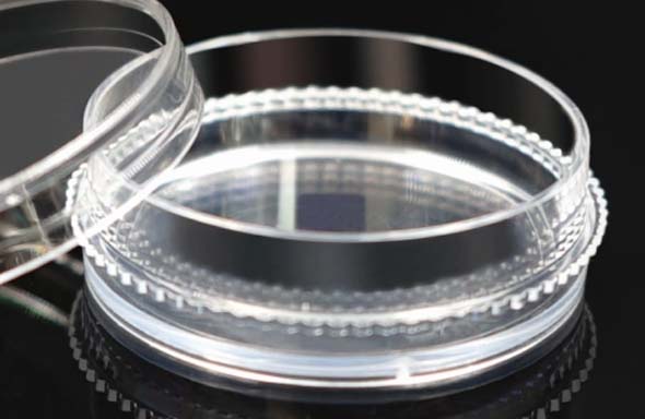 35 mm Cell Culture Dish, with Gripping Ring, TC, Sterile