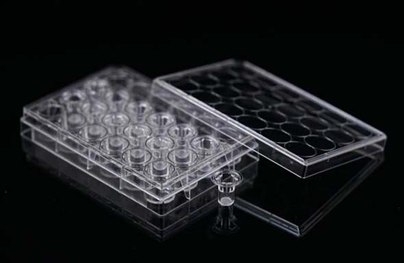 12 Cell Culture Inserts+24 Well Plate, 8 μm, PET Memberane, TC, Sterile, 12/pk, 120/cs