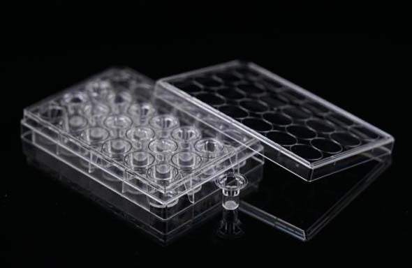 12 Cell Culture Inserts+24 Well Plate, 8 μm, PET Memberane,Non-Treated, Sterile, 12/pk, 120/cs