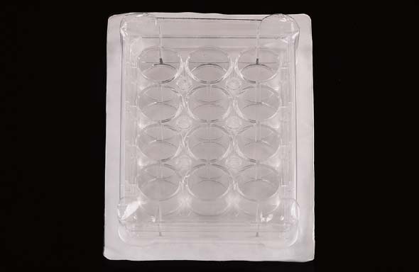 384 Well Cell Culture Plate, Clear, Flat bottom, Non-Treated, Sterile