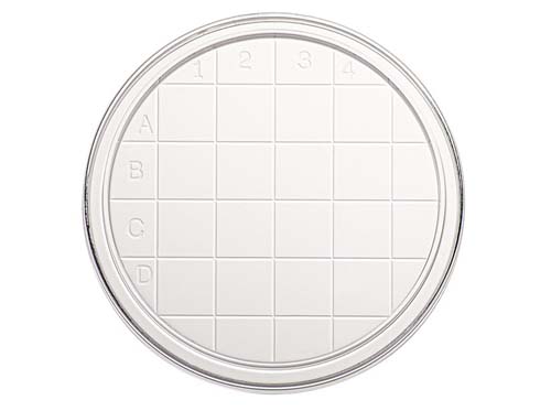 PETRI DISH CONTACT PLATE