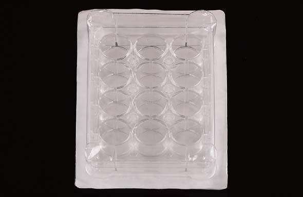 6 Well Low Evap EDGE Plate, Flat Bottom, TC, Sterile