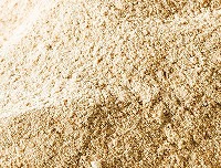 不活性化ドライイースト 5Kg