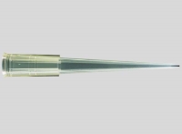 エコノミカルチップ 低吸着 -200μl バルク