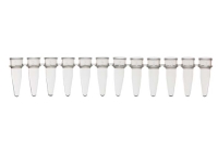 12連チューブ アソート