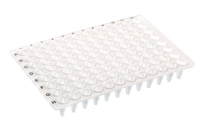 96ウェル PCRプレート ロープロファイル ホワイト