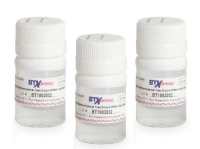 BTXpressバッファー 2mL