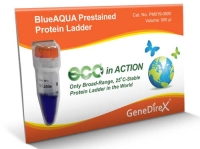 BlueAQUA Prestained Protein Ladder