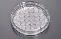 CellSLIPカバースリップ 60mmディッシュ スリップ径10mm