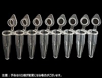 0.2mL 8連PCRチューブ 透明薄壁タイプ 一体型クリアキャップ(凹型) qPCR用