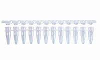 PCR 12連チューブ&12連フラットキャップ 0.2ml ナチュラル